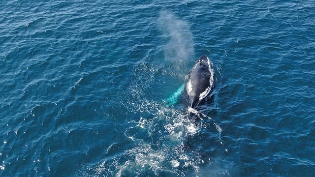 Daytimestar.com Life Style – Trendy Living, Health & Fashion Guide